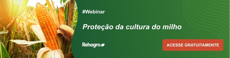 Webinar Proteção da cultura do milho