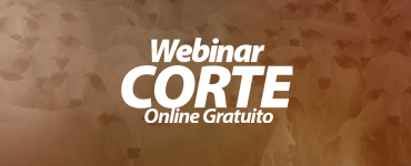 Webinar corte