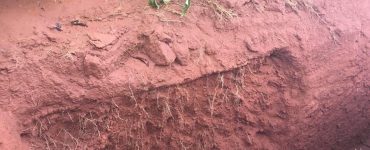 compactação do solo