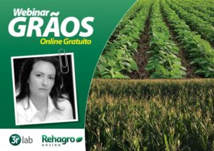 Webinar Manejo de Nitrogênio