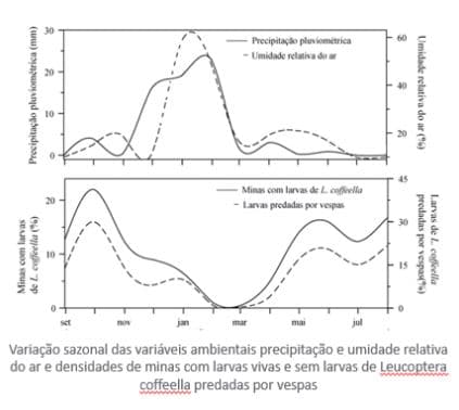 Incidência de bicho-mineiro