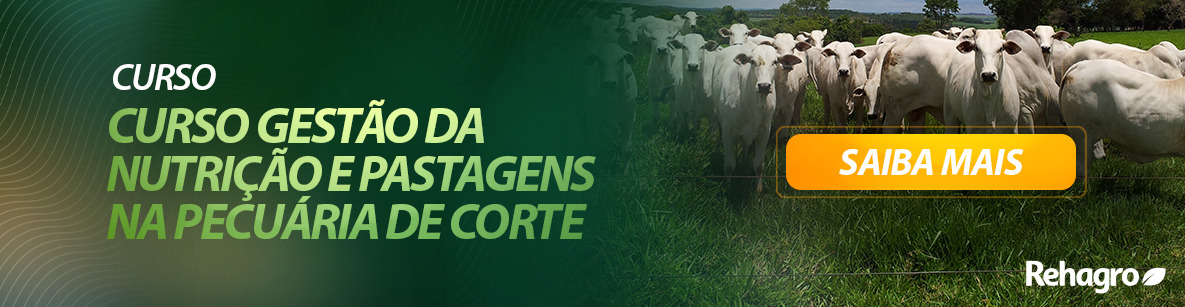 curso gestão da nutrição e pastagens na pecuária de corte