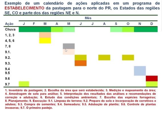 Cronograma para estabelecimento da pastagem