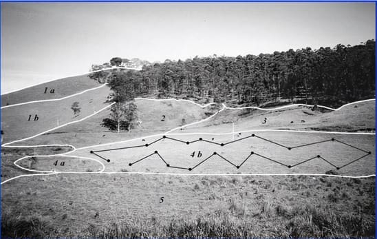 Área dividida em glebas