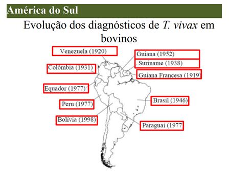 Tripanossomose bovina na América do Sul