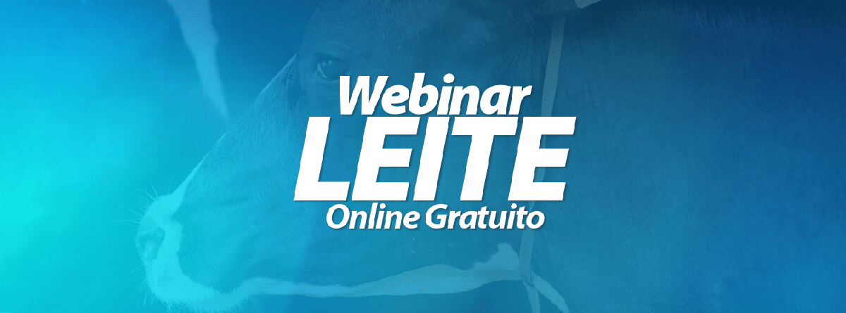 Webinar online eficiência reprodutiva
