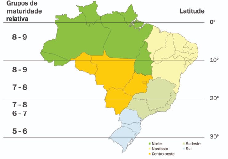Grupos de maturação da soja