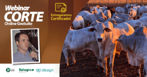 Webinar Confinamento. Dias de cocho x dias de lucro