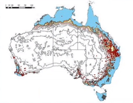 australia confinamento gado de corte