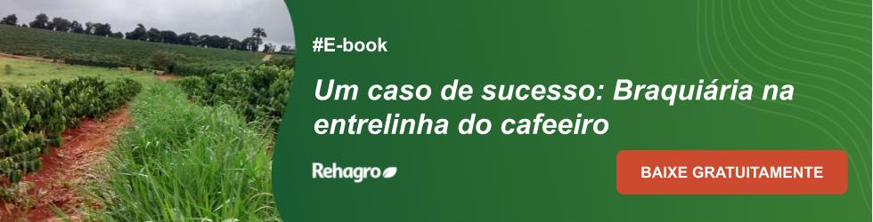 E-book Braquiária na entrelinha do cafeeiro