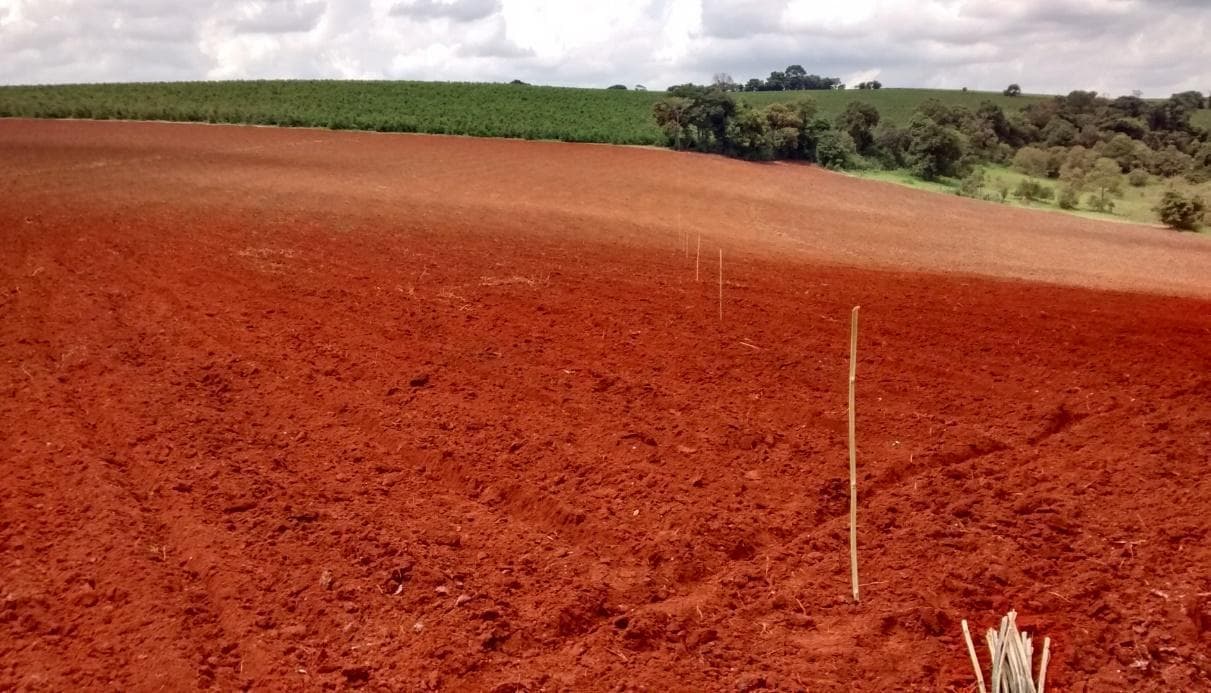 Subsolagem e gradagem no solo