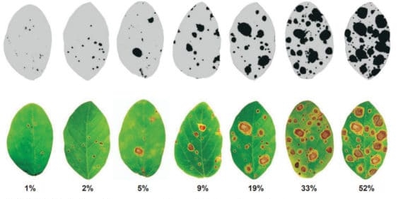 Escala diagramática para avaliação da mancha-alvo da soja