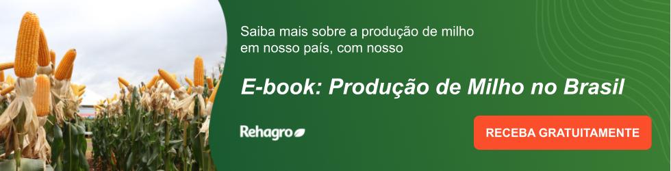 Produção de milho no Brasil