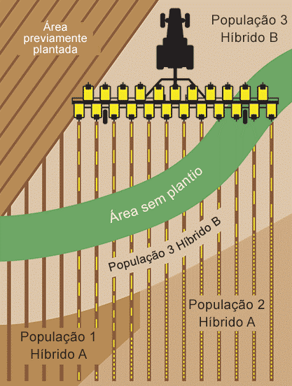 Área plantada com multi híbrido