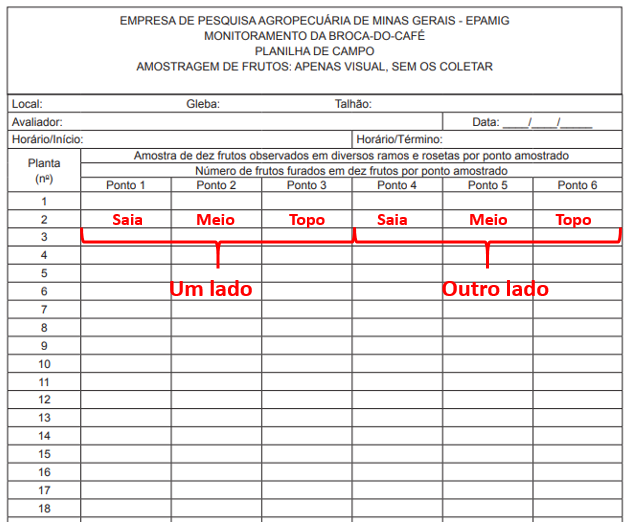 Planilha de campo para amostragem de frutos do café