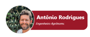 Antônio Rodrigues