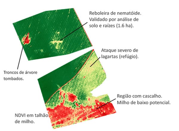 Mapa de índice NDVI