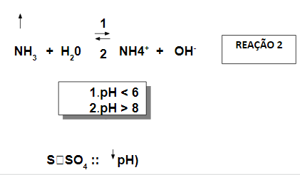 Reação da ureia formando amônio