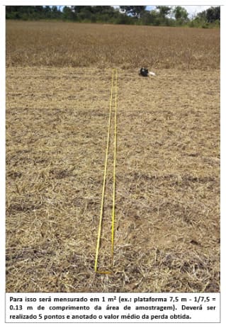 Pontos para avaliação de perdas na colheita