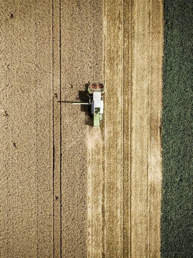 Agronegócio tem até 5 vagas para cada profissional no mercado