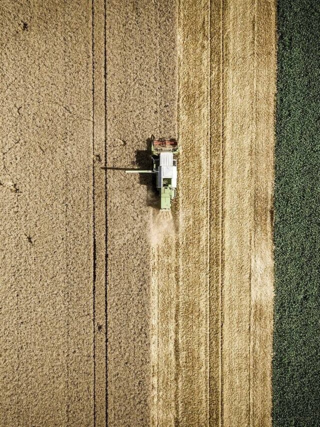 Agronegócio no Brasil: qual a importância para o país