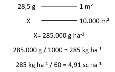 Determinando perdas de grãos