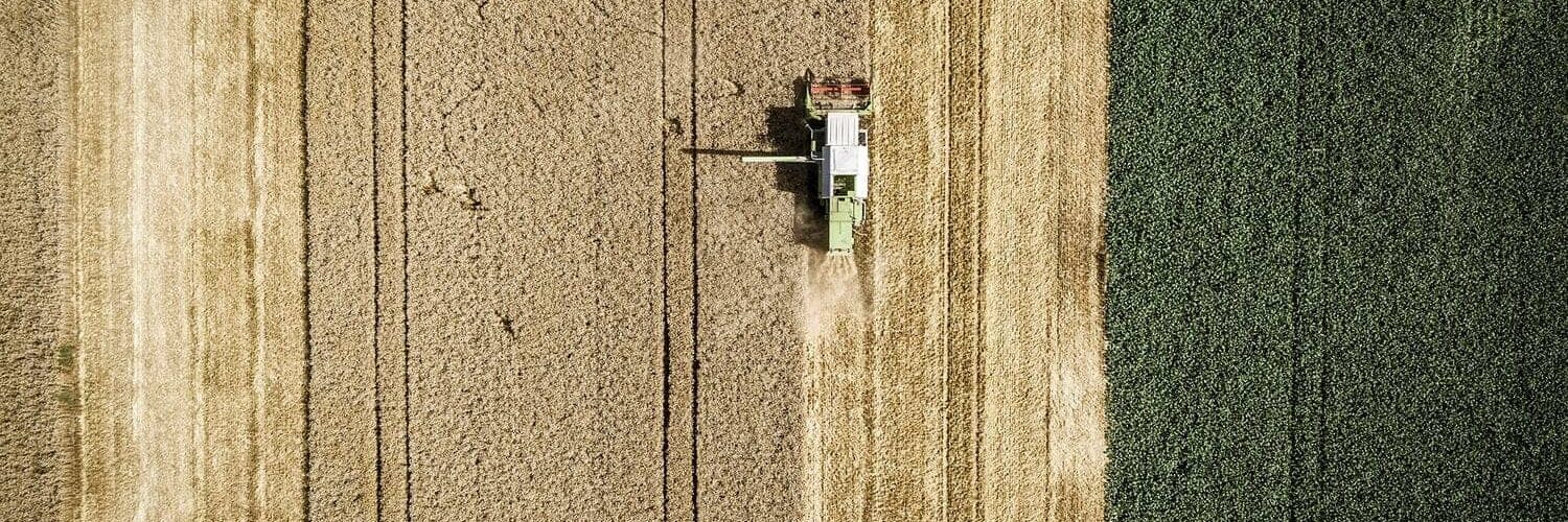 Colheita de soja