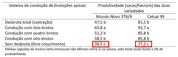 Tabela com a primeira produção após esqueletamento com decote a 1,7 m de altura em lavouras com diferentes sistemas de condução de brotos.
