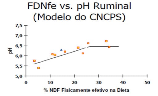 Fibra efetiva na dieta