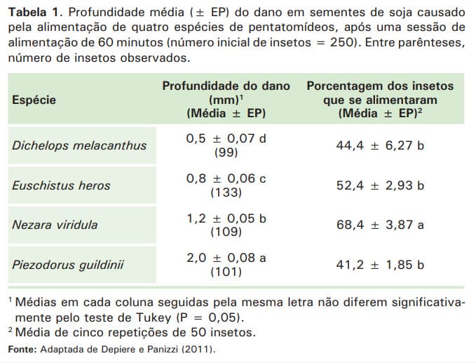 Danos causados por percevejos