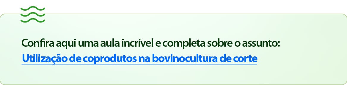 Coprodutos na bovinocultura de corte