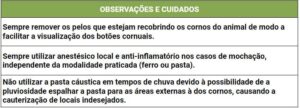 Cuidados com o procedimento de mochação