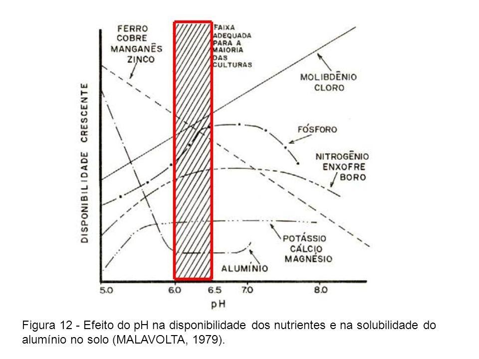 Efeito do pH na disponibilidade de nutrientes
