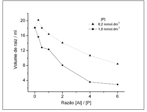 Volumes das raízes em função da razão [Al] / [P] das soluções nutritivas