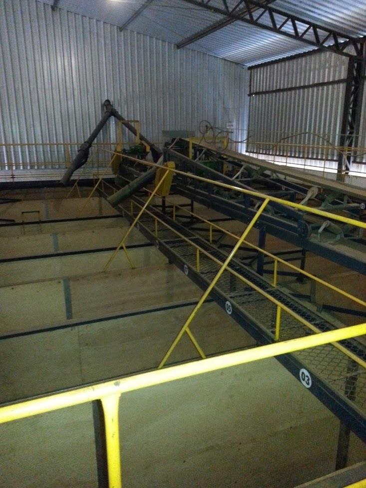 Tulha para repouso do café.