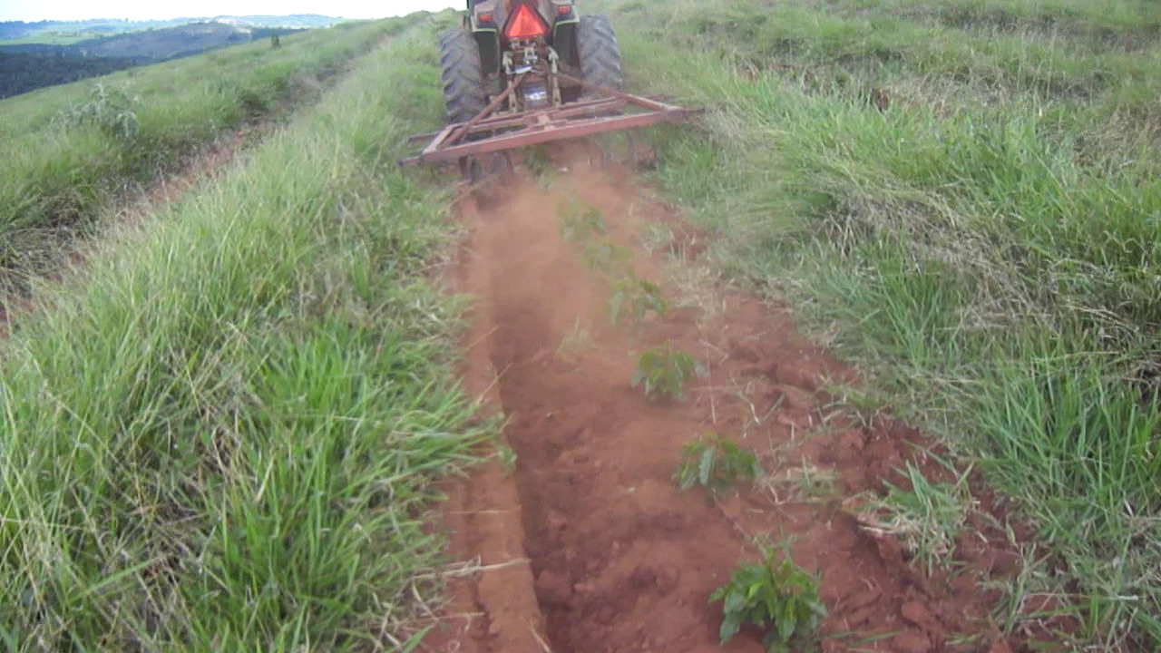 Equipamento adaptado para chegar terra em cafeeiros.