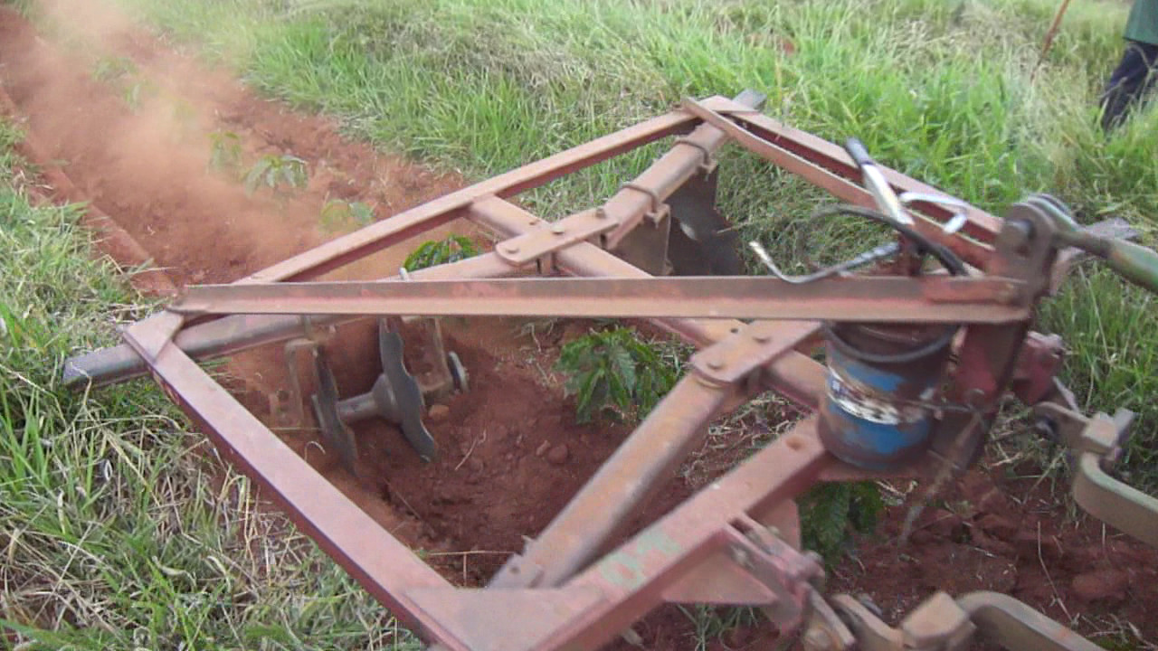 Chegando terra em mudas de café com uma adaptação na grade.