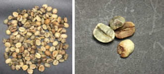 Grãos de café ardido.