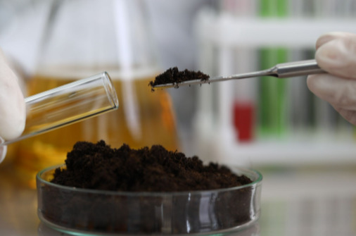 Amostra de solo para análise