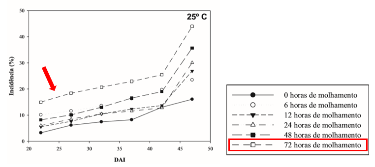 Curva de progresso da incidência da cercosporiose do cafeeiro.