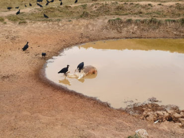 Água em más condições de uso
