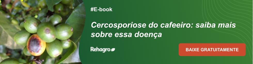 E-book Cercosporiose do cafeeiro