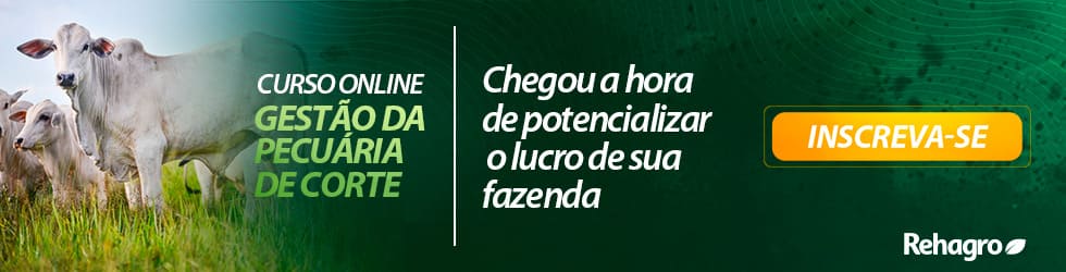 Gestão na Pecuária de Corte