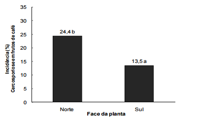 Incidência da cercosporiose nas folhas de acordo com a posição geográfica