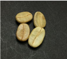 Grãos de café marinheiro.