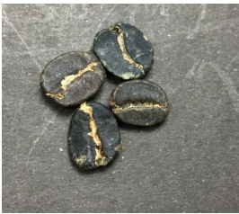 Amostra de café com grão preto.