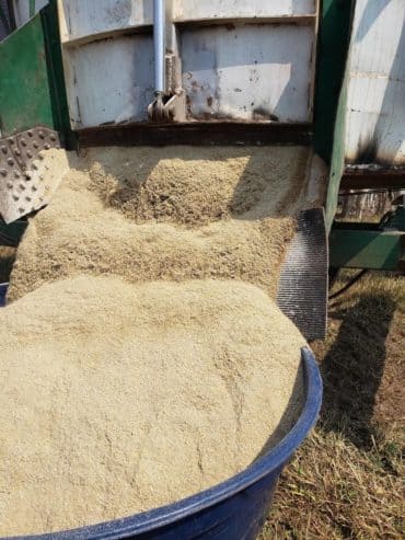 Suplementação alimentar