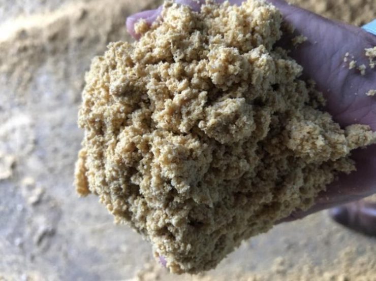 Resíduo de grãos de destilaria de milho