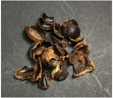 Grãos de café com defeito de casca.