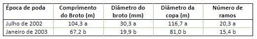 Comprimento e diâmetro do broto, diâmetro da saia e número de plagiotrópicos de cafeeiros